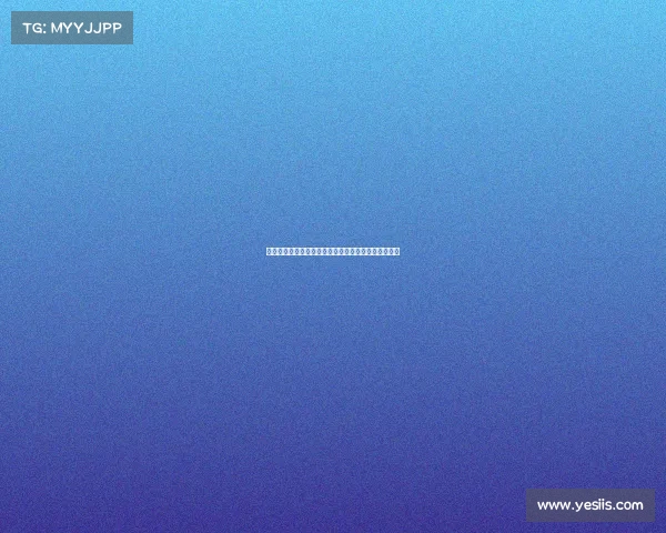 德甲联赛上座率分析及其对球队表现和观众文化的影响