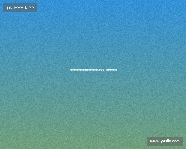 纽卡将提高报价争夺维萨 小蜜蜂坚持要求4000万镑为核心条件