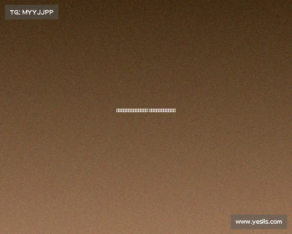 谢晖：足球理解尚处初级阶段 留洋非语言障碍关键因素